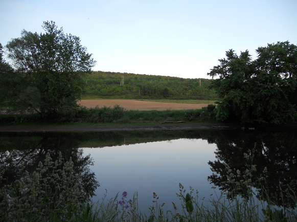 Screen Shot 2021-04-25 at 6.21.30 PM