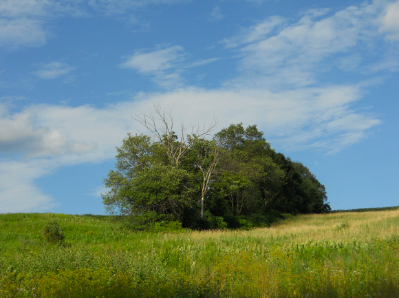 Screen Shot 2021-04-25 at 6.23.39 PM