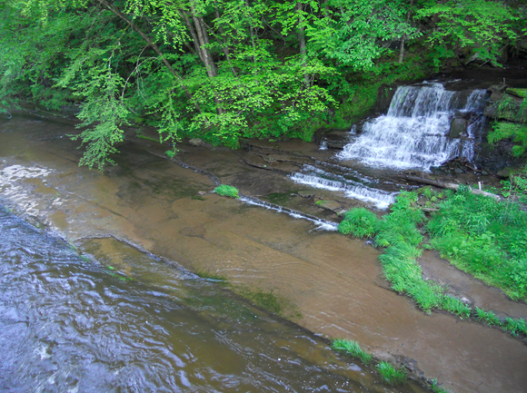 Screen Shot 2021-04-25 at 6.23.56 PM