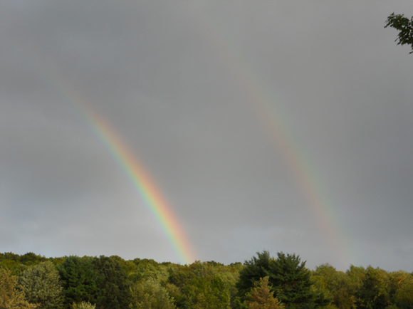 Screen Shot 2021-04-25 at 6.25.00 PM