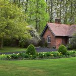 energy-efficient landscaping